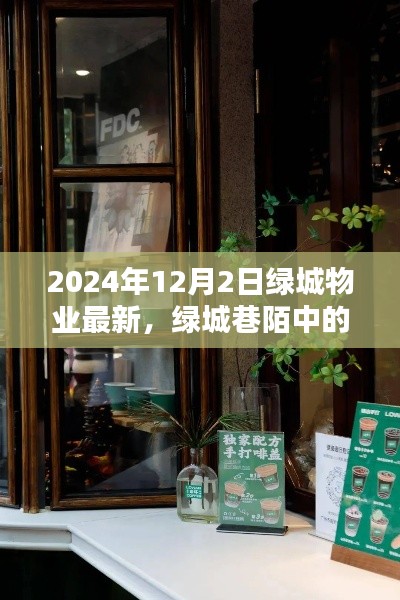 綠城物業(yè)新探秘，巷陌寶藏與小眾特色小店揭秘（2024年12月）
