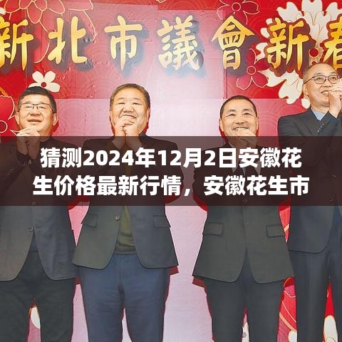 安徽花生市場深度洞察，預測2024年12月最新行情及市場特性分析報告揭秘花生價格走勢。