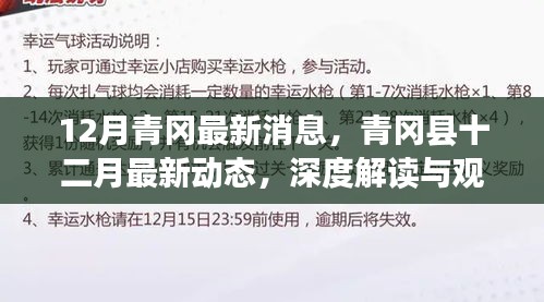 深度解讀與觀點(diǎn)闡述，青岡縣十二月最新動(dòng)態(tài)與消息速遞