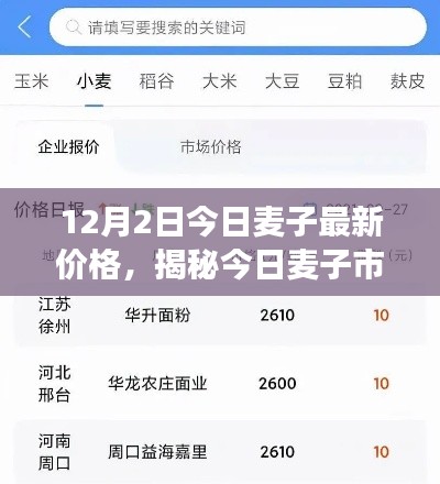揭秘今日麥子市場(chǎng)，最新價(jià)格動(dòng)態(tài)及市場(chǎng)分析（以麥子最新價(jià)格行情為例）