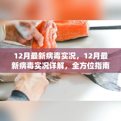 全方位指南，12月病毒威脅詳解與防范應(yīng)對策略