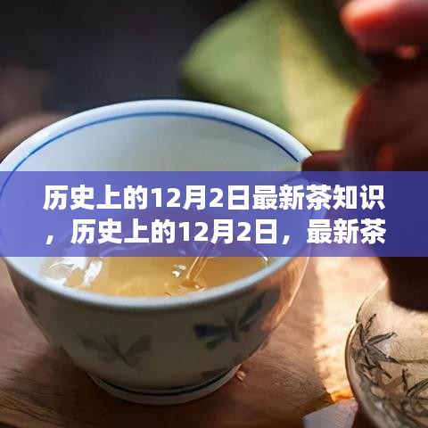 歷史上的12月2日茶知識(shí)大揭秘，最新學(xué)習(xí)全攻略