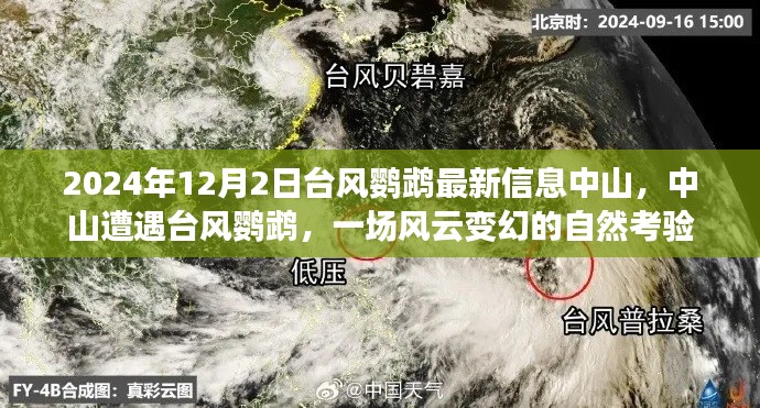 中山遭遇臺(tái)風(fēng)鸚鵡，風(fēng)云變幻的自然考驗(yàn)最新信息