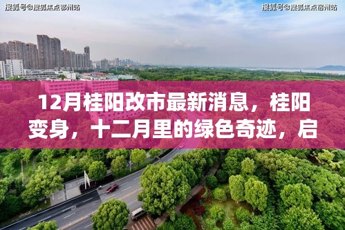 12月桂陽改市最新動態(tài)，綠色奇跡啟程，心靈之旅開啟