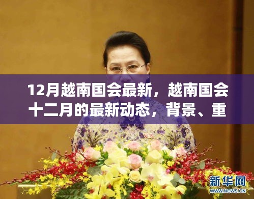 越南國會十二月最新動態(tài)，背景、重要事件與時代地位解析