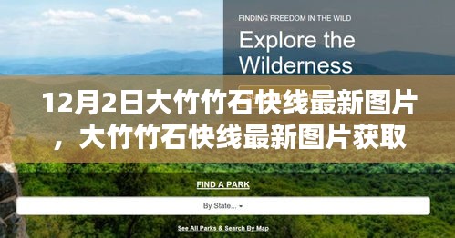 大竹竹石快線最新圖片及獲取攻略（12月2日版）