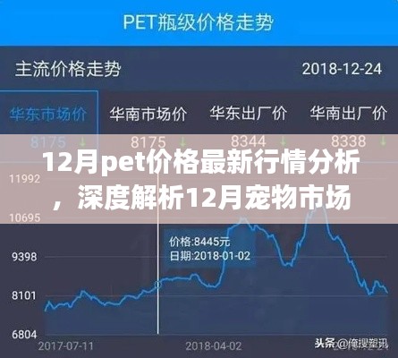 深度解析，12月寵物市場脈動與寵物價格最新行情背景重塑