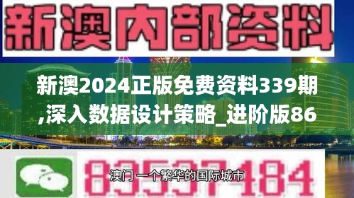新澳2024正版免費資料339期,深入數(shù)據(jù)設(shè)計策略_進階版86.976-6