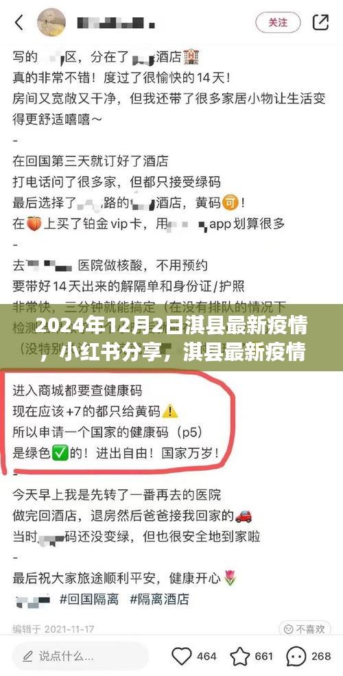 小紅書(shū)分享，淇縣最新疫情動(dòng)態(tài)深度解析（2024年12月2日）