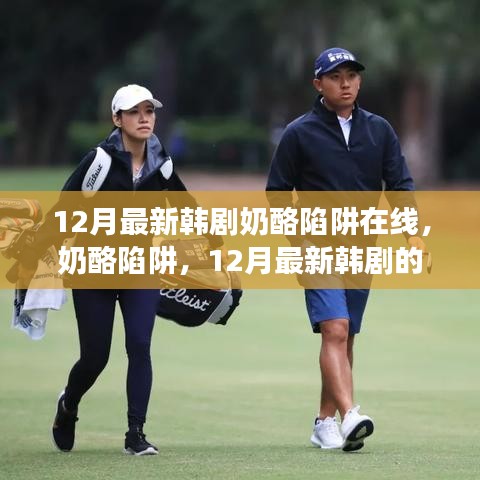 12月最新韓劇奶酪陷阱在線，奶酪陷阱，12月最新韓劇的甜蜜與掙扎