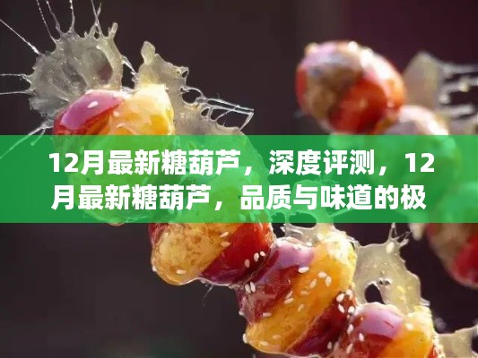 12月最新糖葫蘆，品質(zhì)與味道的極致融合深度評(píng)測(cè)