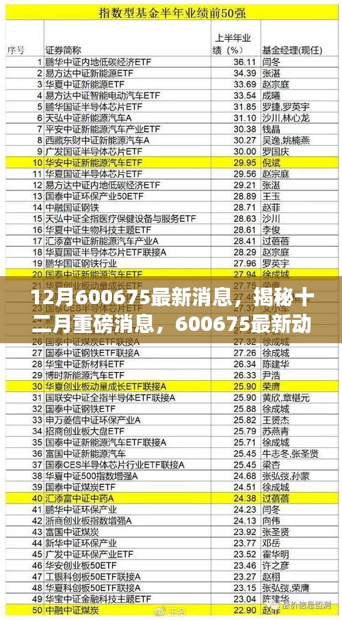 揭秘重磅消息，揭秘十二月重磅消息深度解析，最新動態(tài)盡在掌握——關(guān)于代碼600675的最新消息