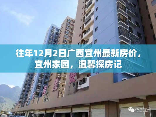 廣西宜州最新房價(jià)揭秘，家園探房之旅，溫馨房源一覽