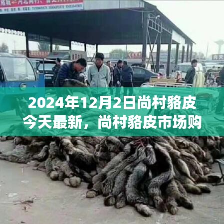 尚村貉皮市場最新指南，選購優(yōu)質(zhì)貉皮的初學(xué)者友好版建議