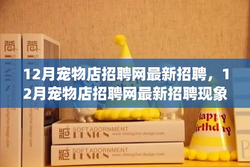 12月寵物店招聘網(wǎng)最新招聘現(xiàn)象解析，利弊探討與個人觀點