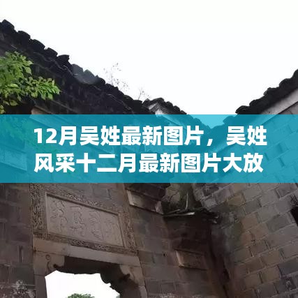 十二月吳姓風(fēng)采展示，最新圖片大放送，絕美瞬間一網(wǎng)打盡