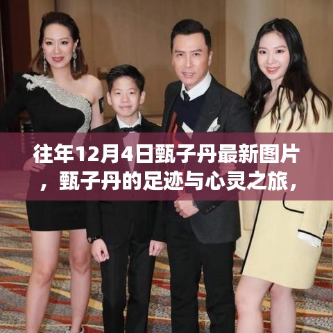 甄子丹足跡與藝術(shù)之旅，探尋自然美景與內(nèi)心平靜的藝術(shù)之旅（最新圖片）