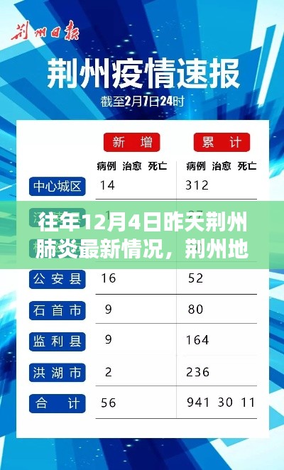荊州地區(qū)往年12月4日昨日肺炎最新情況回顧與影響分析，回顧與啟示