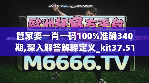 管家婆一肖一碼100%準確340期,深入解答解釋定義_kit37.513-4