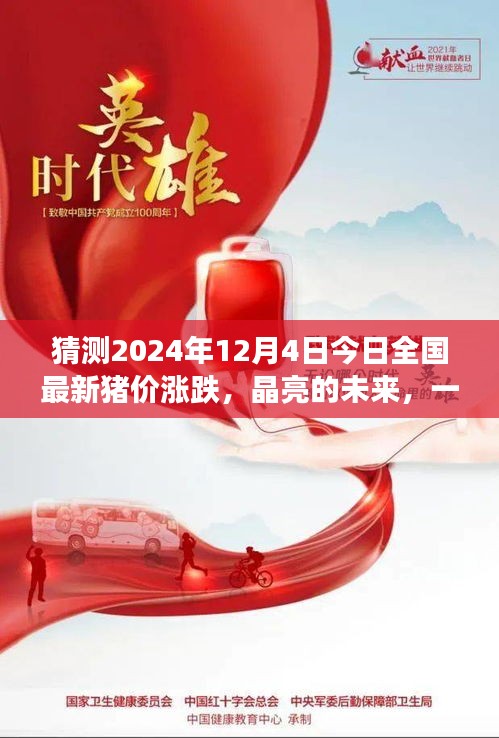 晶亮未來展望，2024年12月4日全國豬價漲跌預(yù)測之旅