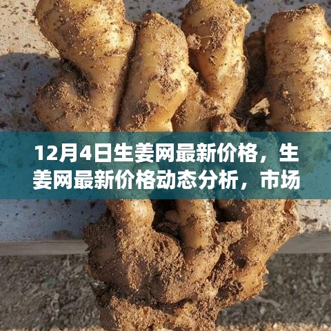 12月4日生姜網(wǎng)價(jià)格更新，市場(chǎng)動(dòng)態(tài)分析與觀點(diǎn)碰撞