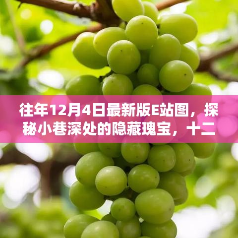 探秘十二月最新版E站圖，小巷深處的隱藏瑰寶與創(chuàng)意空間