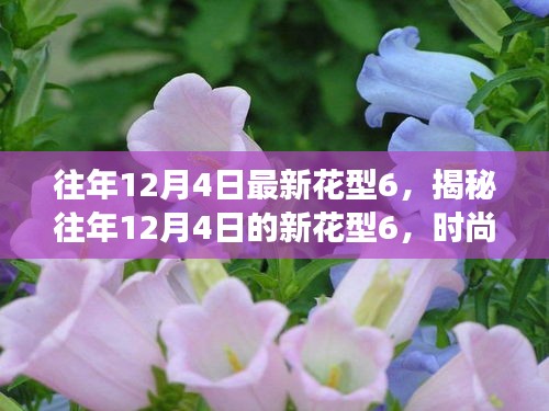 揭秘往年12月4日新花型6，時(shí)尚變遷與流行趨勢(shì)深度解讀