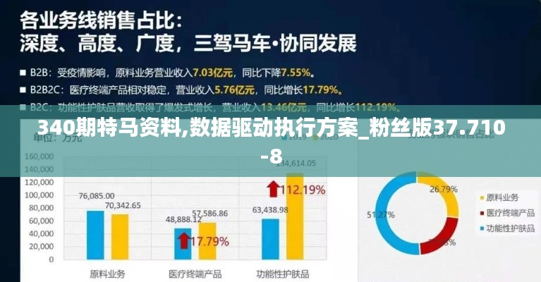 340期特馬資料,數(shù)據(jù)驅(qū)動(dòng)執(zhí)行方案_粉絲版37.710-8