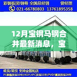 寶鋼馬鋼合并最新進(jìn)展，攜手共進(jìn)，冬日傳遞溫情與陪伴