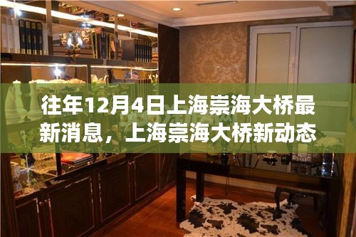 上海崇海大橋新動態(tài)，與自然美景的邂逅之旅揭秘最新消息