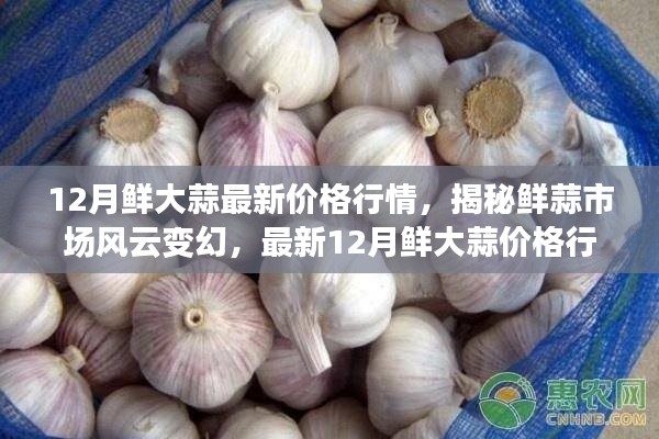 揭秘最新鮮大蒜行情，12月鮮大蒜價格解析與市場風(fēng)云變幻