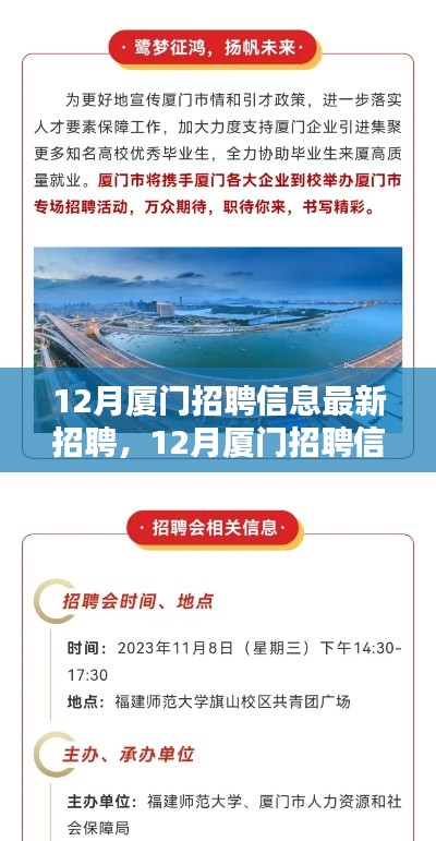 12月廈門最新招聘信息全面評測與介紹