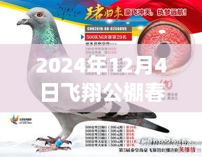 揭秘最新公告，飛翔公棚春棚更新動(dòng)態(tài)，關(guān)注所有你關(guān)心的內(nèi)容