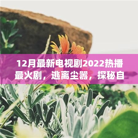 心靈之旅，逃離塵囂，探秘自然美景——2022年熱播電視劇最新盤點