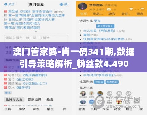 澳門管家婆-肖一碼341期,數(shù)據(jù)引導(dǎo)策略解析_粉絲款4.490