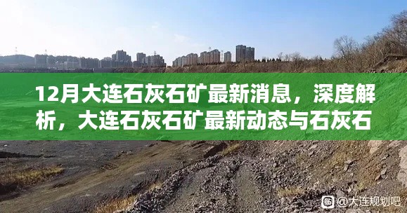 大連石灰石礦最新動態(tài)與產(chǎn)品特性深度解析，12月消息速遞