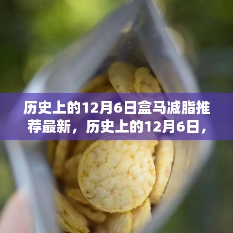 歷史上的12月6日，盒馬減脂引領(lǐng)健康之旅，勵志成就感的自信之旅