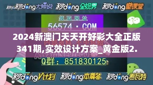 2024新澳門(mén)天天開(kāi)好彩大全正版341期,實(shí)效設(shè)計(jì)方案_黃金版2.555