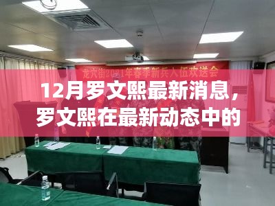 羅文熙最新動態(tài)揭秘，深度解讀與觀點闡述