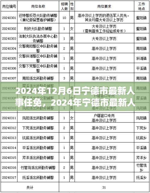 2024年寧德市人事任免信息解讀與操作指南，初學(xué)者與進(jìn)階用戶必讀