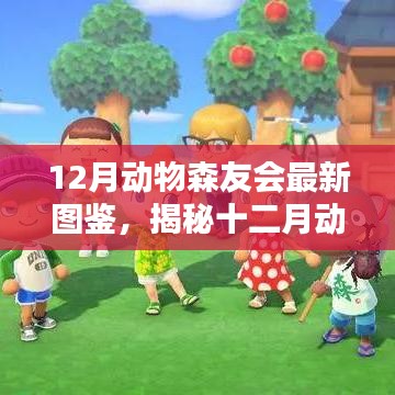 揭秘十二月動(dòng)物森友會(huì)最新圖鑒，三大看點(diǎn)深度解析與全面指南