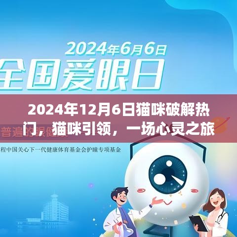 貓咪引領(lǐng)的心靈之旅，熱門貓咪時(shí)光探索記