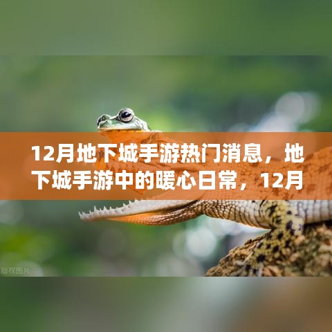 12月地下城手游，暖心日常與友情陪伴的時光