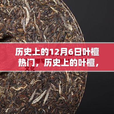 葉檀，歷史上的傳奇人物與熱門話題，12月6日的獨(dú)特印記回顧