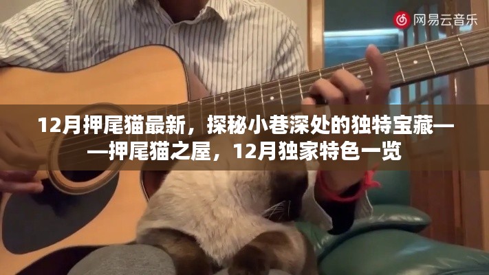 探秘押尾貓之屋，小巷深處的獨特寶藏，揭秘十二月獨家特色