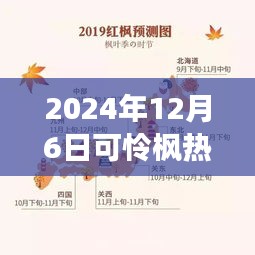 紀(jì)念特殊時(shí)刻，可憐楓熱背后的故事與影響——2024年12月6日時(shí)光印記