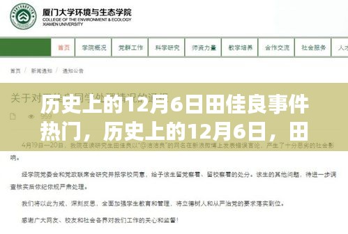 揭秘歷史上的田佳良事件，背后的故事與深遠(yuǎn)影響