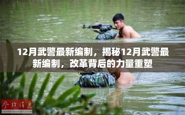 揭秘，12月武警最新編制與力量重塑背后的改革之路