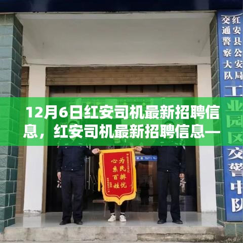 紅安司機最新招聘信息發(fā)布，求職要點解析與求職指南（12月6日更新）
