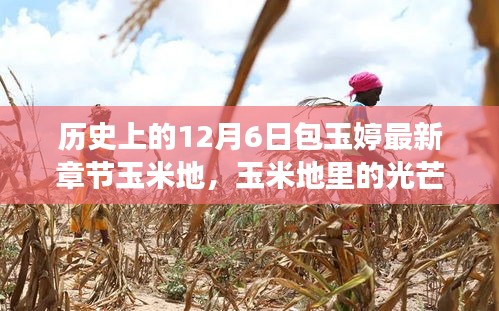 包玉婷的勵志人生，玉米地里的光芒與學(xué)習(xí)的力量，照亮人生旅途的篇章